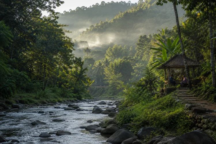 Cerita Lama tentang Hutan dan Sungai di Desa Sesaot