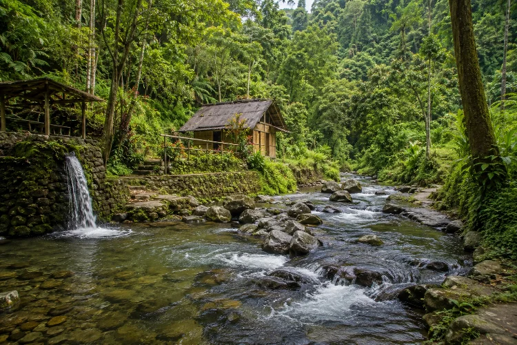 Kearifan Lokal Sesaot dalam Menjaga Hutan dan Mata Air